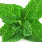 Fresh herbs are a huge part of Asian cuisine and Mint, one of the most powerful healing herbs, is used in salads, toothpastes and skincare.