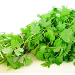 It's the love it or hate it herb. Cilantro, also known as Coriander, is a crucial herb to Asian cooking, especially in salads and soups.