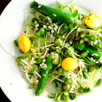 Summer Greens Salad- Make restaurant-style salads at home with this delicious and nutrient-rich micro-greens salad.